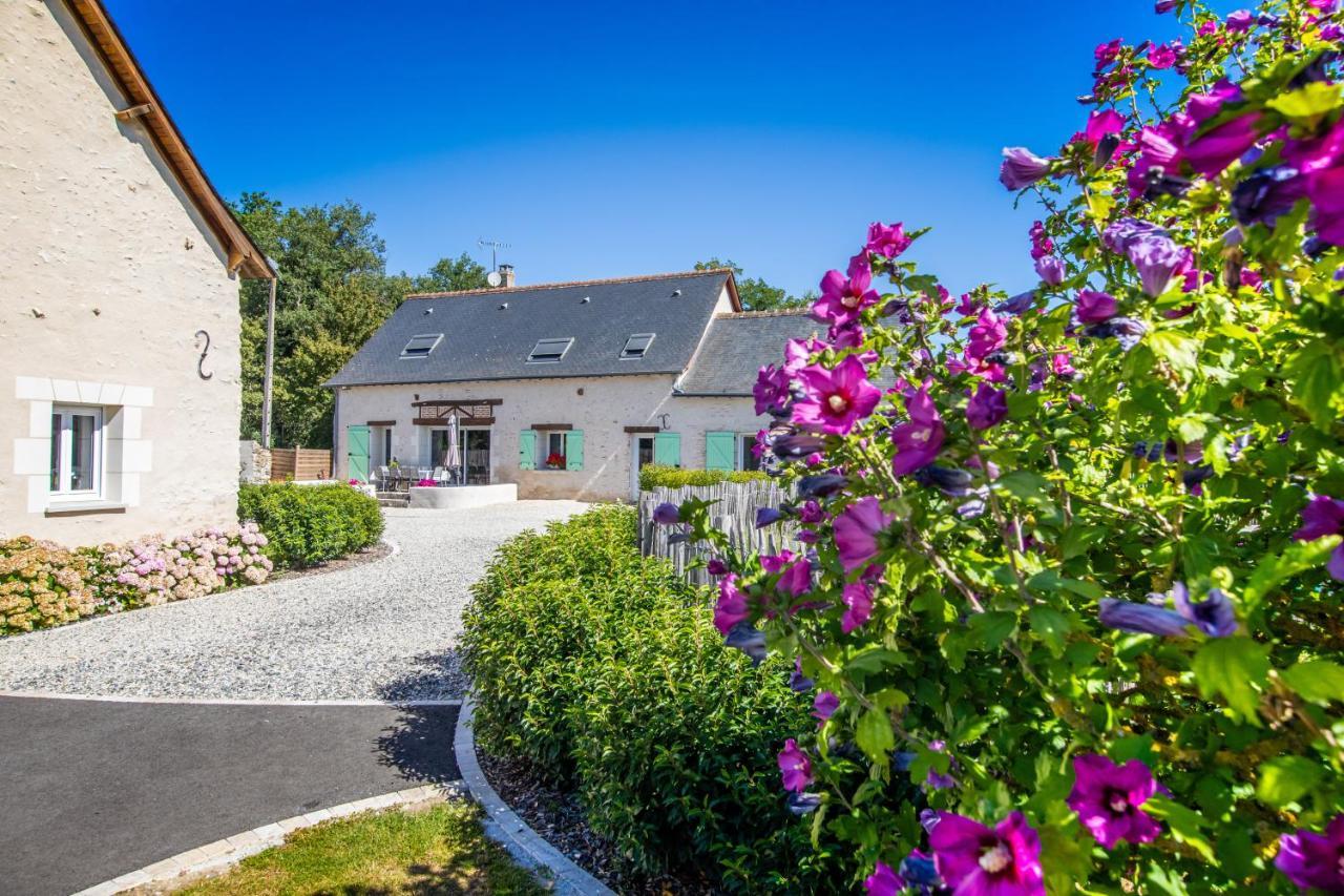 Metairie Du Villiers Bed & Breakfast Saint-Branchs Exterior foto